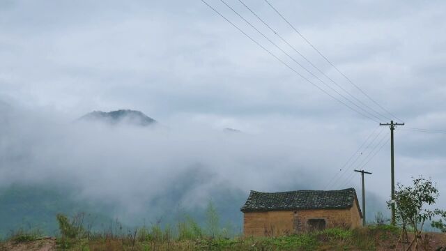 空山新雨后