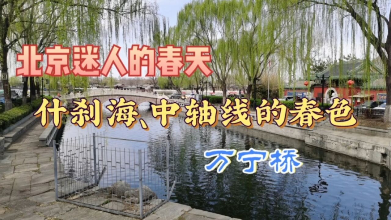 京城的春天太美,带你欣赏北京什刹海、中轴线和胡同里的迷人春色