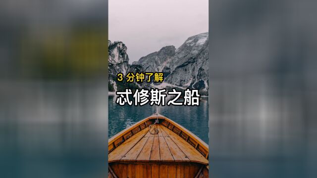 根据“忒修斯之船”来看,你已经不是原来的你了