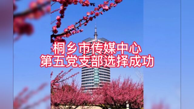 桐乡市传媒中心第五党支部选择成功