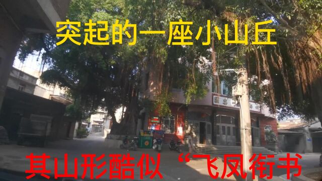 实拍福州长乐航城街道祥洲村,坐落在半山腰,后山峰酷似飞凤衔书