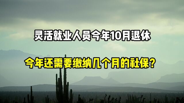 灵活就业人员,今年10月退休,今年还需要缴纳几个月社保?