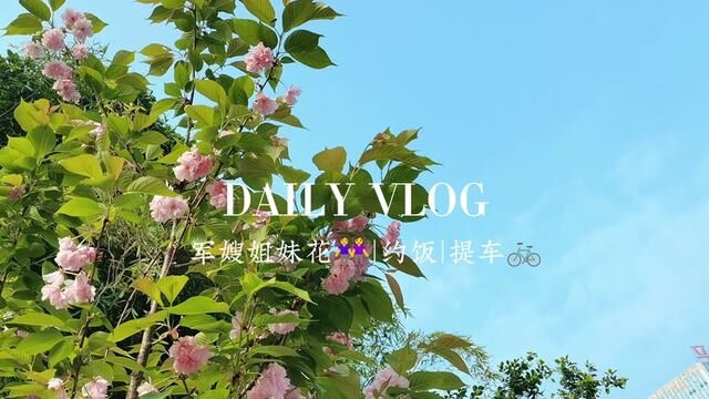 VLOG |欢迎收看小军嫂两姐妹的快乐日常 我现在有多幸福呢 虽然偶尔独居 但离爸妈也超级近 有三五好友能时常相聚