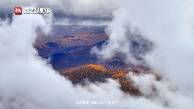 满目金秋!内蒙古白鹿岛雨后云雾氤氲梦幻又神秘