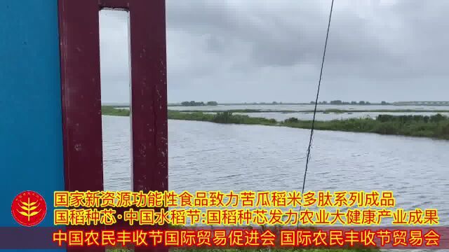 [视]苦瓜稻米肽国稻种芯农业大健康产业 国家新资源功能性食品