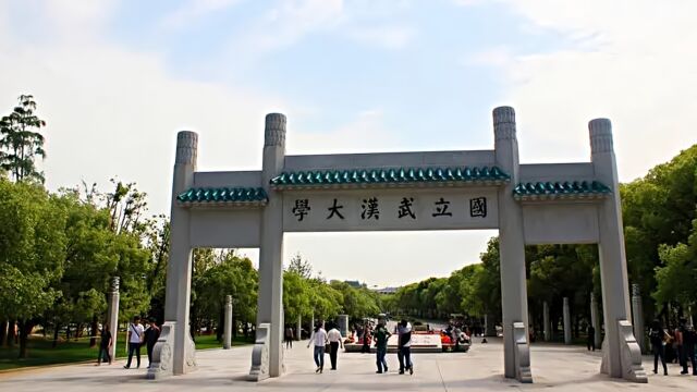 武大男生在图书馆实施性骚扰?武汉大学回应:已成立工作组