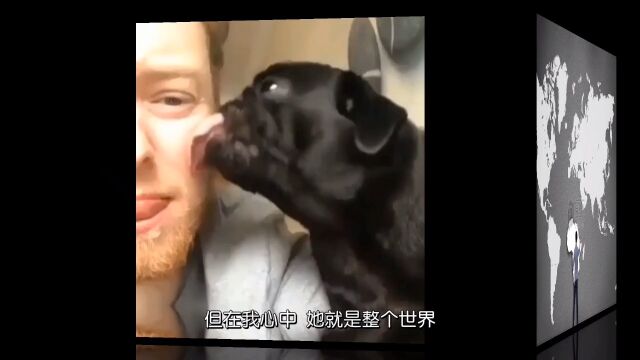 舔狗日记