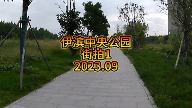 洛阳伊滨中央公园街拍1时间2023.09