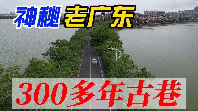 踏进300多年的古巷,感受神秘的老广东,养老城市广东肇庆