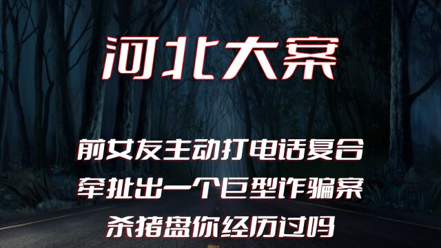 河北大案:前女友主动打电话复合,牵扯出大额诈骗案,杀猪盘你经历过吗!