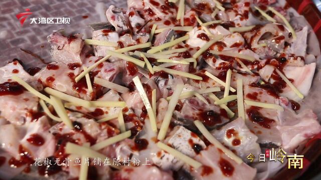 广东《今日岭南》栏目组走进江门嘉和美食——口碑良好,食材新鲜