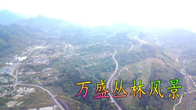 丛林地方风景