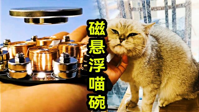 给喵桑制作一个科技风拉满的《磁悬浮猫碗》