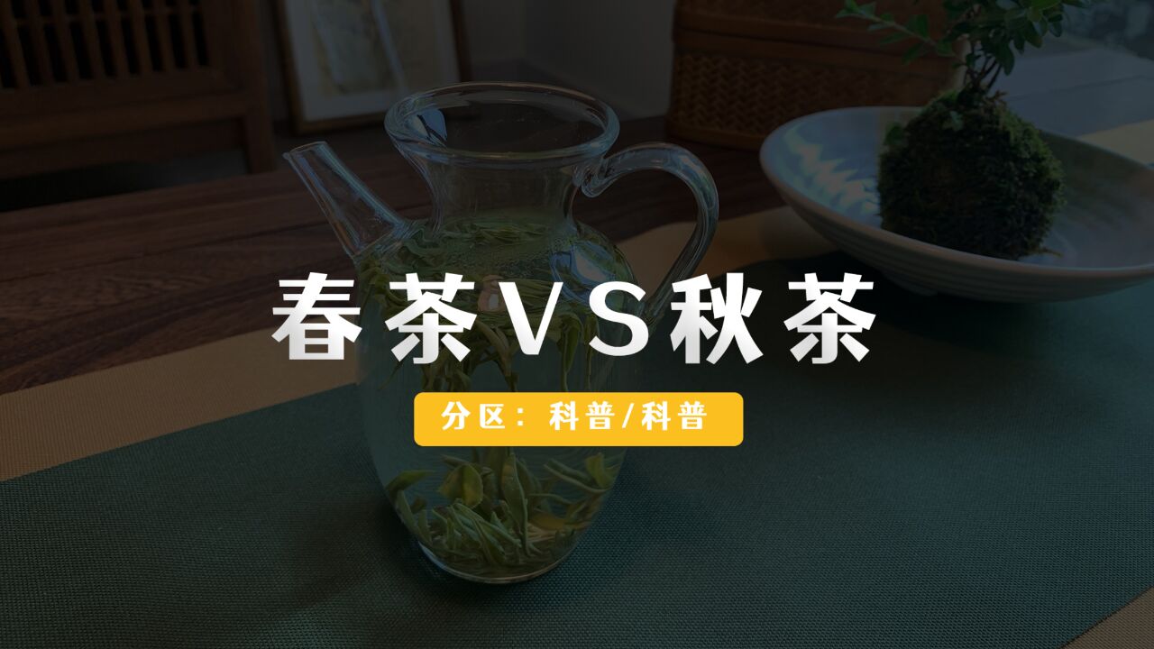 春茶VS秋茶,十问十答