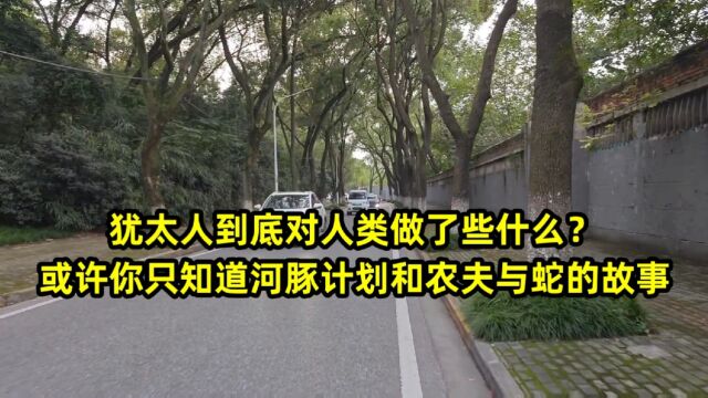 犹太人到底对人类做了些什么?或许你只知道河豚计划和农夫与蛇的故事