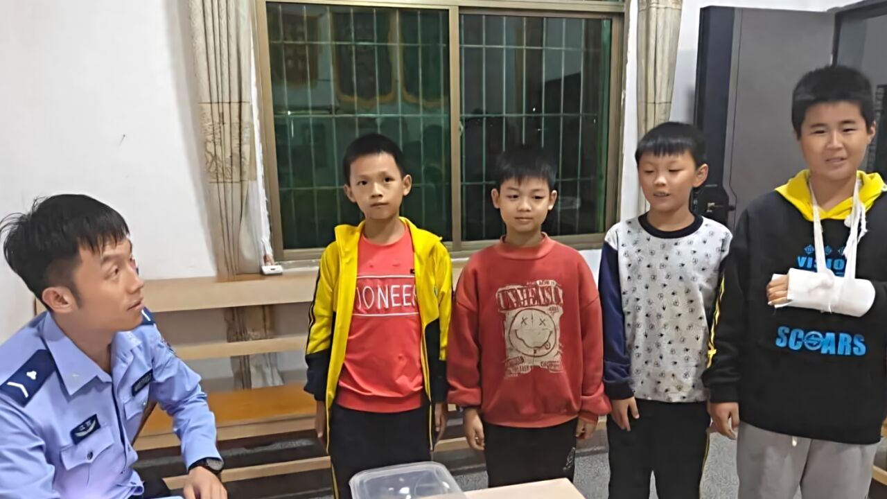 赞!4名小学生发现41年前曾灭绝的甲虫