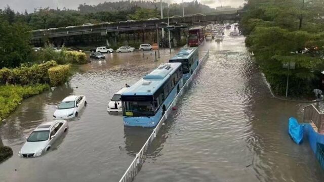 厦门打工人的迎雨出行,在厦门要会开船更要会游泳