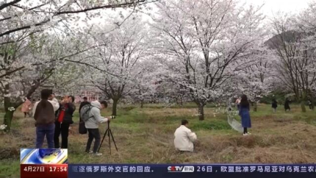 踏青赏景正当时 农文旅结合一体化高质量发展促乡村振兴