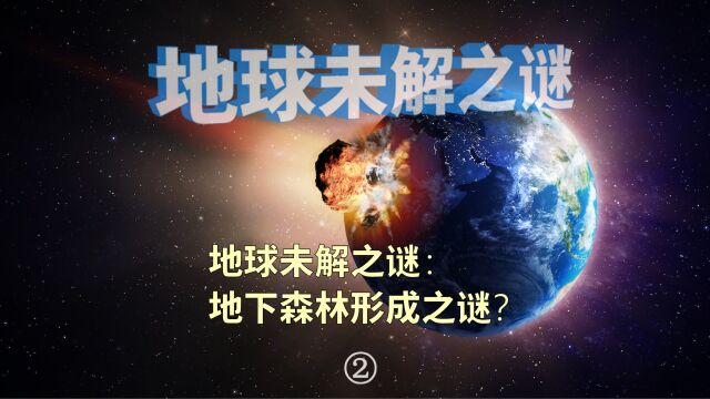 地球未解之谜:地下森林形成之谜?