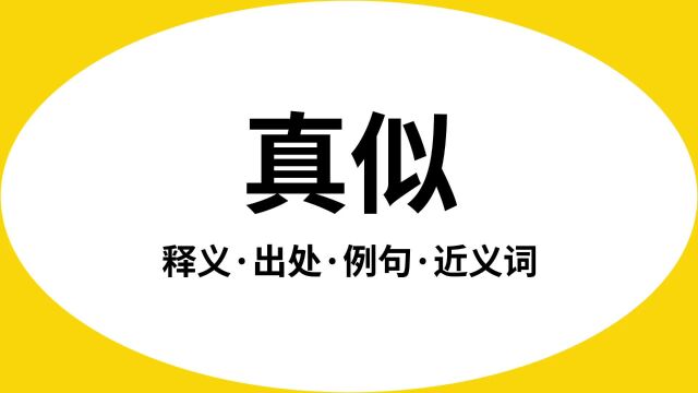 “真似”是什么意思?