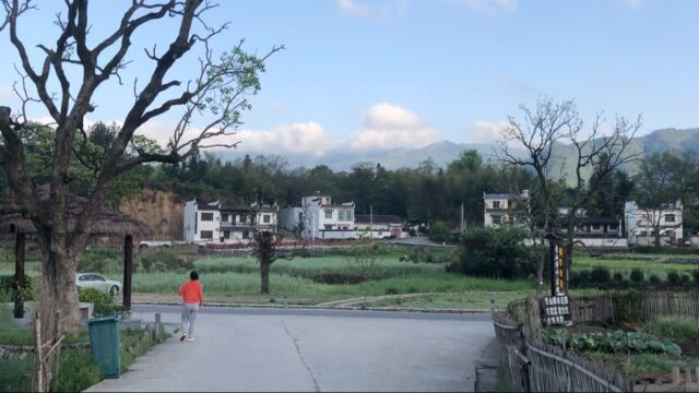 塔川村位于黟县桃花源著名旅游景点——宏村到木坑竹海景点途中