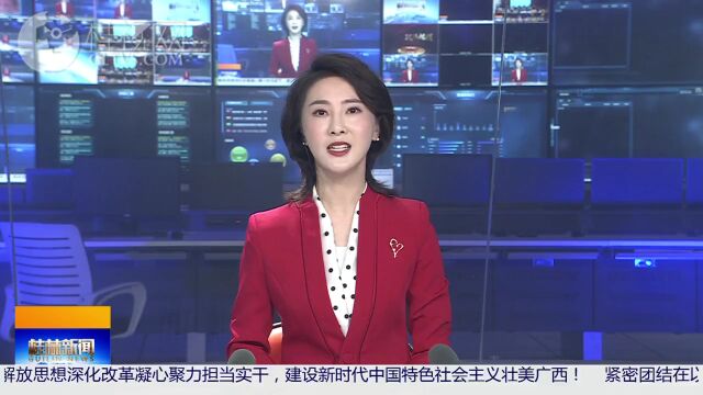 聚焦 | 桂林市三个单位获此殊荣!