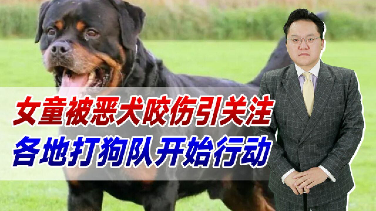 女童被恶犬咬伤引关注,各地打狗队开始行动!治理狗患刻不容缓