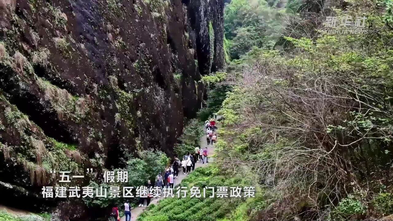 春茶季,来武夷山体验茶旅新时尚