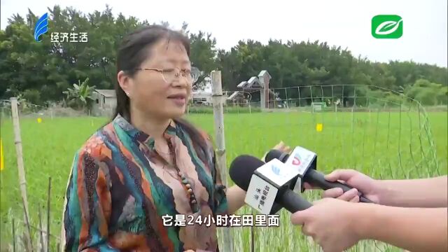 街市 | 澄海这13条道路更名了;澄海某地昨日拆违面积约10亩…