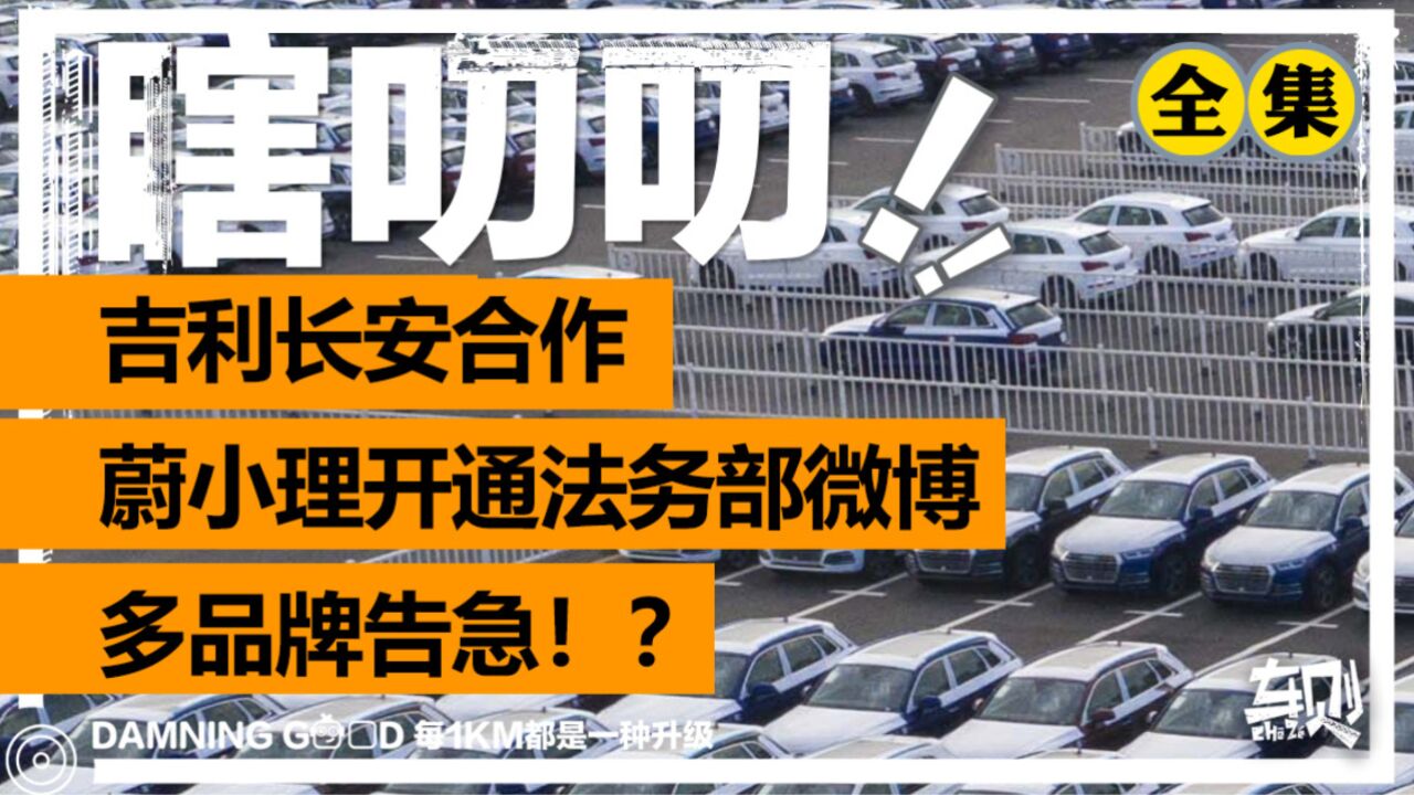 一周车事:蔚小理开通“法务部”,多个品牌扛不住?