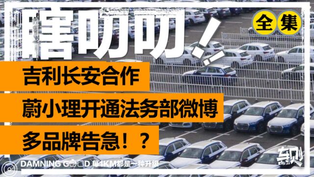 一周车事:蔚小理开通“法务部”,多个品牌扛不住?