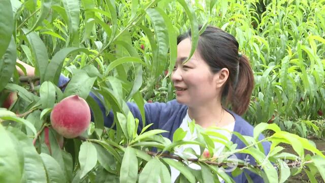 蜜桃自由!快来解锁初夏的第一口甜~