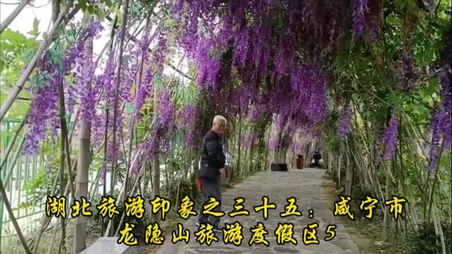 湖北旅游印象之三十五:咸宁市龙隐山旅游度假区5