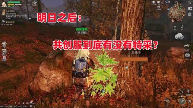 明日之后:共创服到底有没有特采?