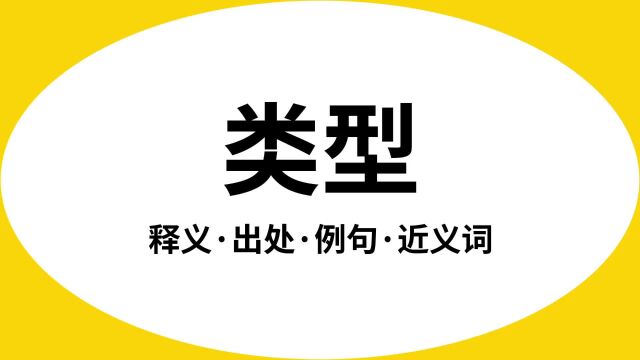 “类型”是什么意思?