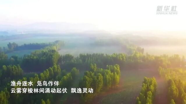 千城胜景|河北滦州:秀美滦河 风景如画