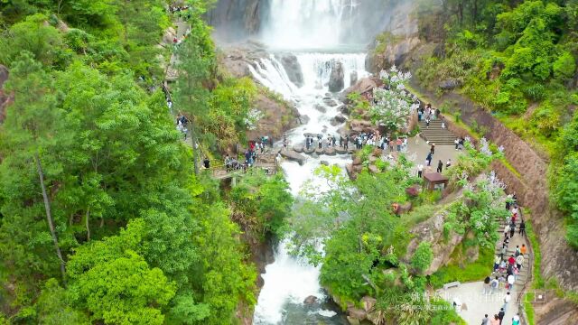 真实大自然山水风景画浙江台州天台山大瀑布#姚青春 #天台山大瀑布 #自然山水风景