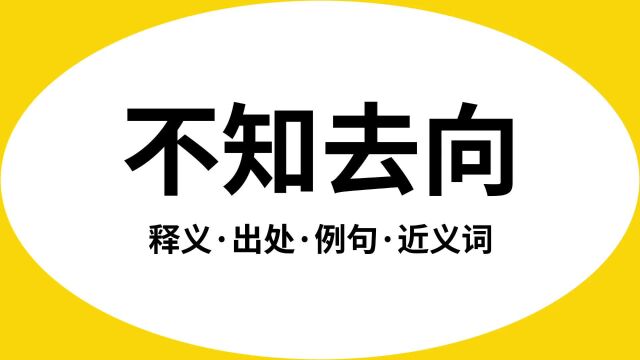 “不知去向”是什么意思?