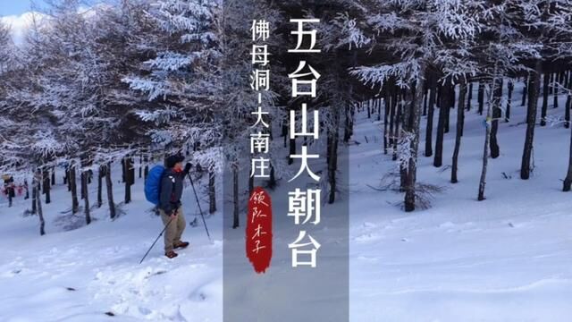 雪后的五台山更像佛国仙境!#户外徒步登山 #旅行vlog #五台山风景区 #五台山大朝台