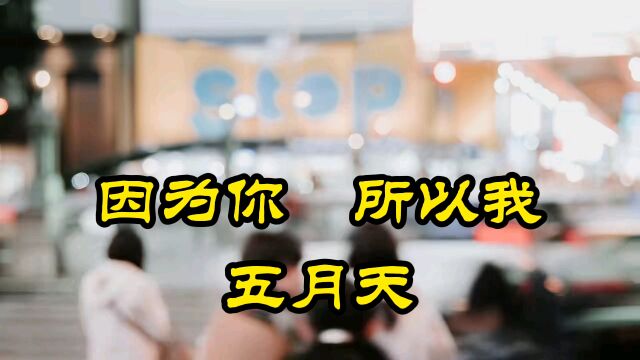 因为你所以我―五月天