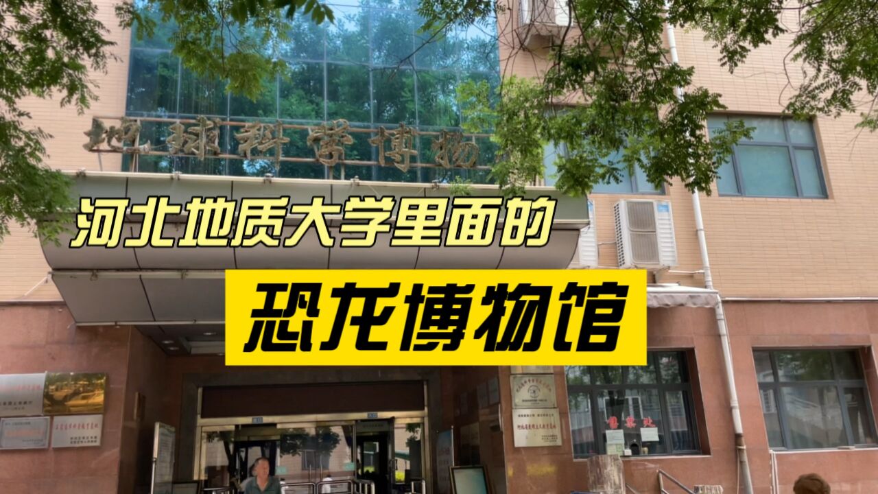 全国罕见!石家庄竟然有一处藏在大学里面对外开放的博物馆