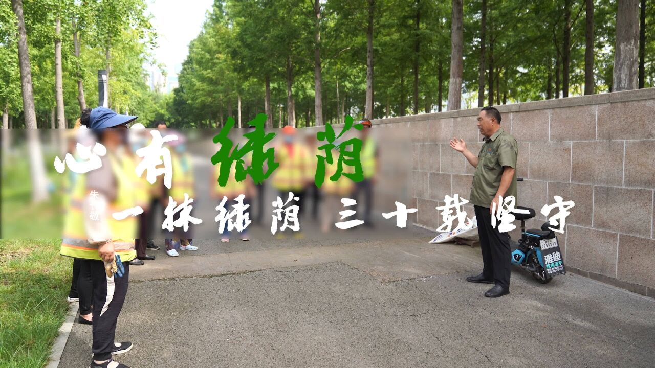 一抹绿荫三十年坚守:朱长敬用双手装点绿色 守护城市靓丽风景线