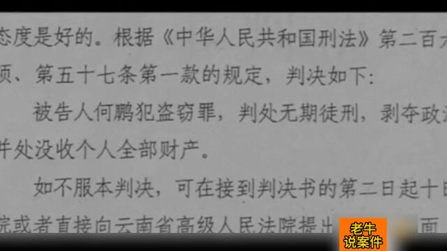 男子盗窃提款机,先是被判了无期,后因广州许霆案,被改判八年六个月#大案纪实#真实案件