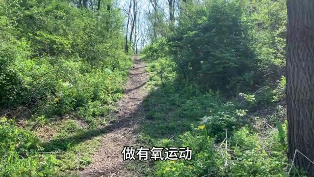 散步随拍爬山花草树木河水清清空气清新