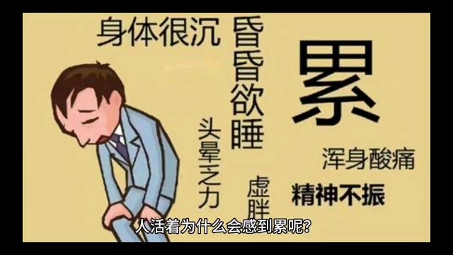 人为什么会觉得累