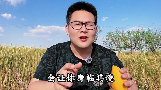 最近网文评论区最火挑战,你看过的第一本网文里可能藏着你的年龄