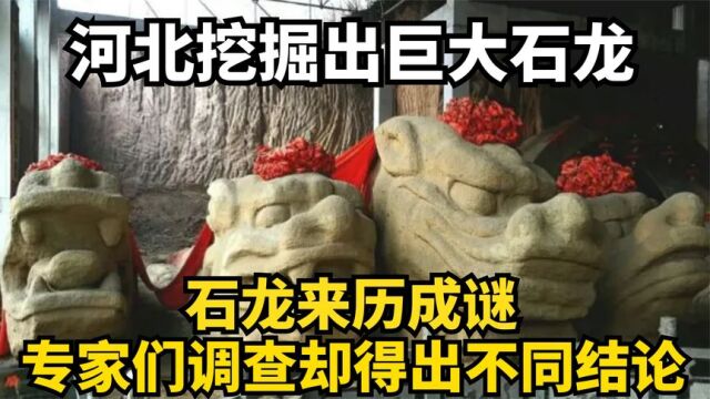 河北挖掘出巨大石龙,石龙来历成谜,专家们调查却得出不同结论