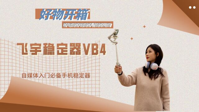 飞宇VB4,做自媒体入门的必不可的数码配件