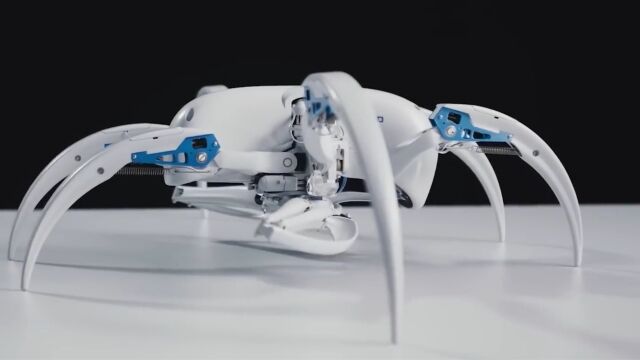 AMAZING ROBOTIC ANIMALS YOU MUST SEE!