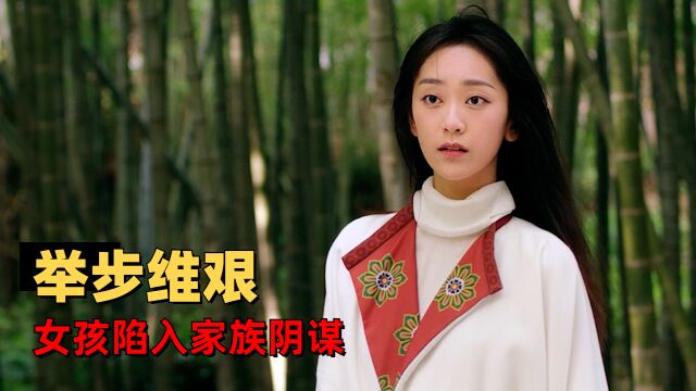 替嫁新娘:将门虎女风光嫁入侯府,却被人百般设计难以立足